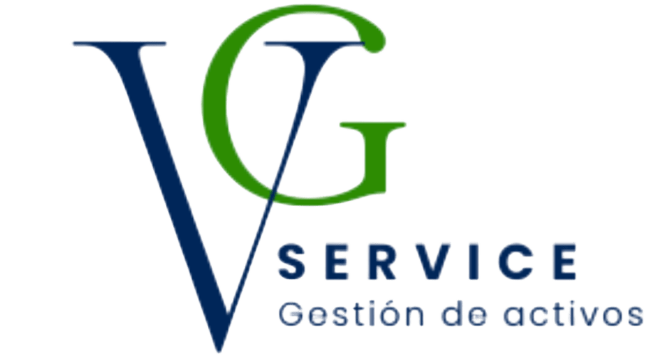VG Servicios Mineros
